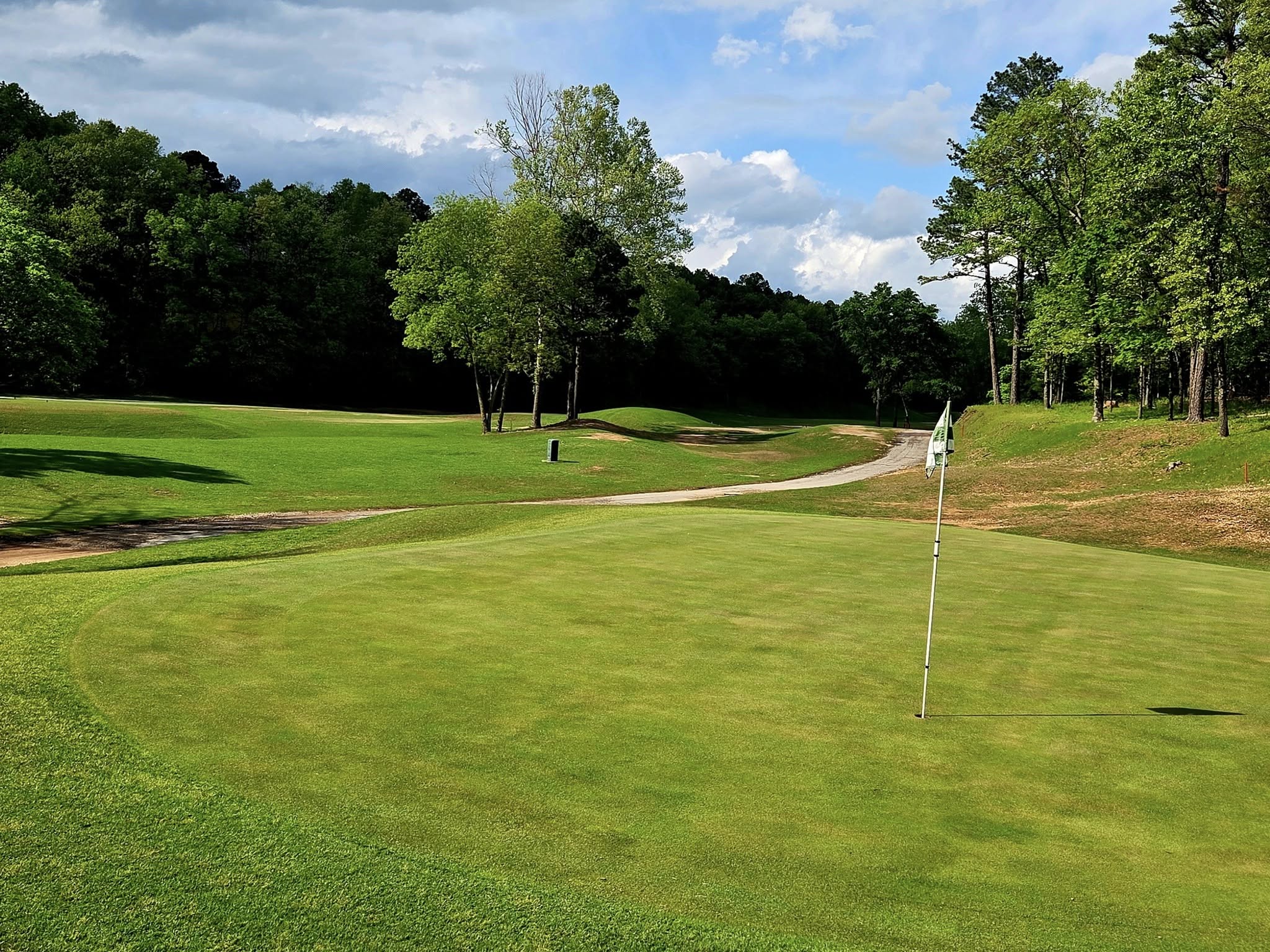 Golf course green with flag on cart path
