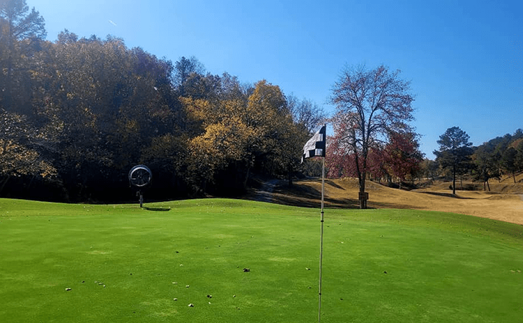 Golf Course Fairway with flag on green